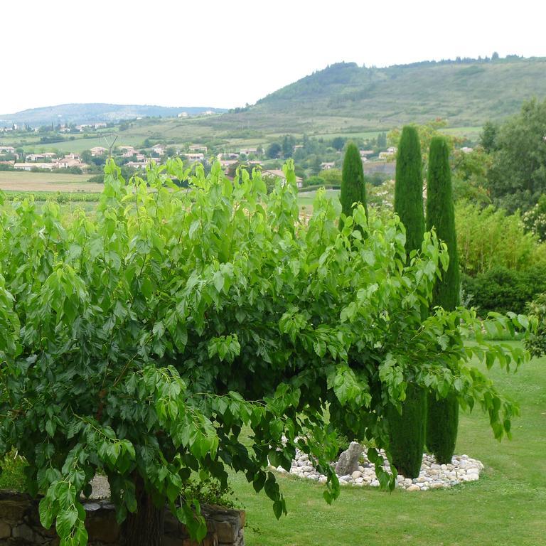 מלון וילנב-דה-ברג Domaine De La Manse מראה חיצוני תמונה